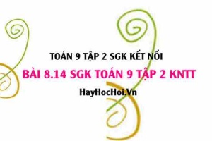 Bài 8.14 SGK Toán 9 tập 2 Kết nối tri thức